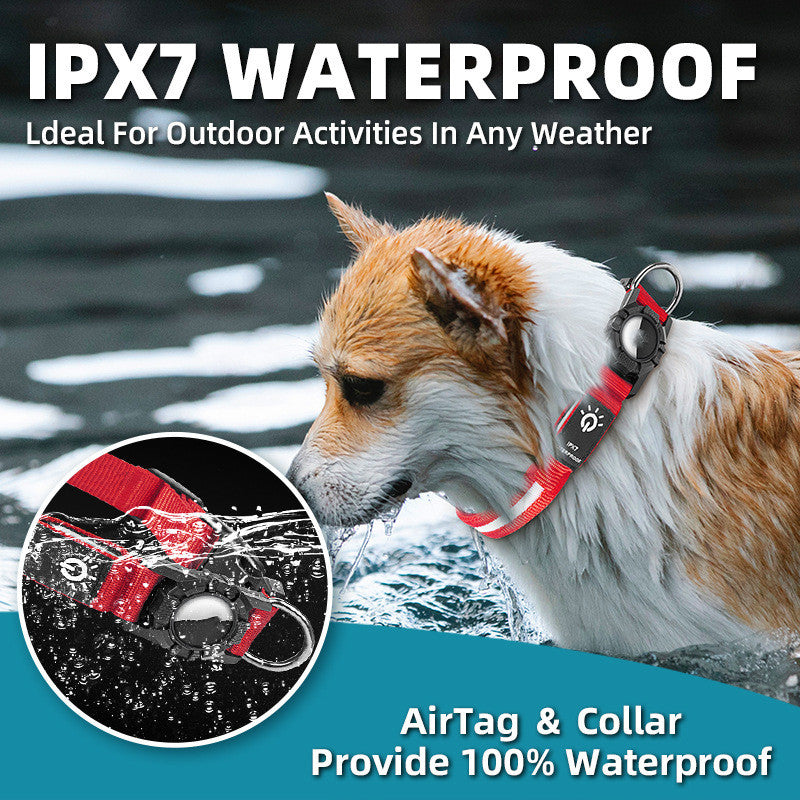 LED Waterproof Pet Collar - Safety Light Up Dog Collar - Purrfect Pet Haven