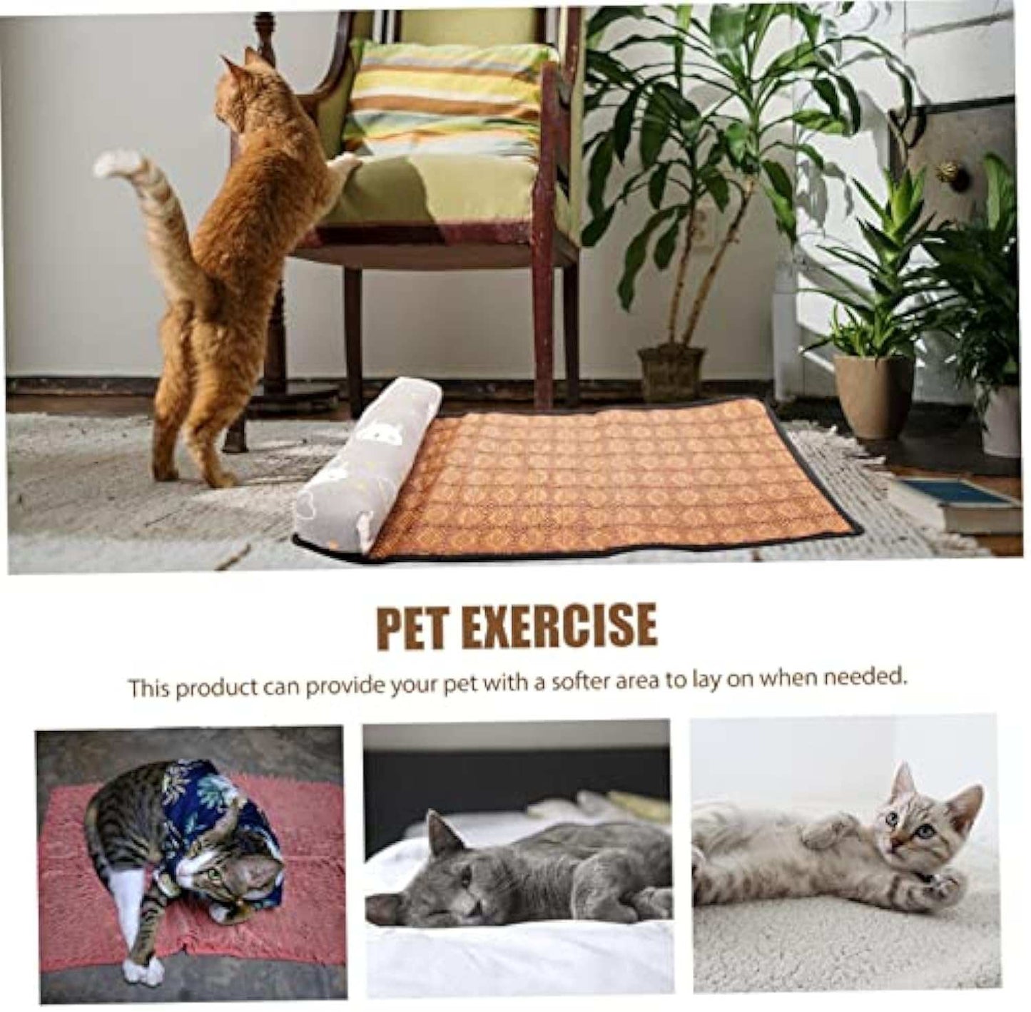 Cooling Mat For Pets - Ice Silk Pad For Cats And Dogs To Beat The Heat In Summer - Purrfect Pet Haven