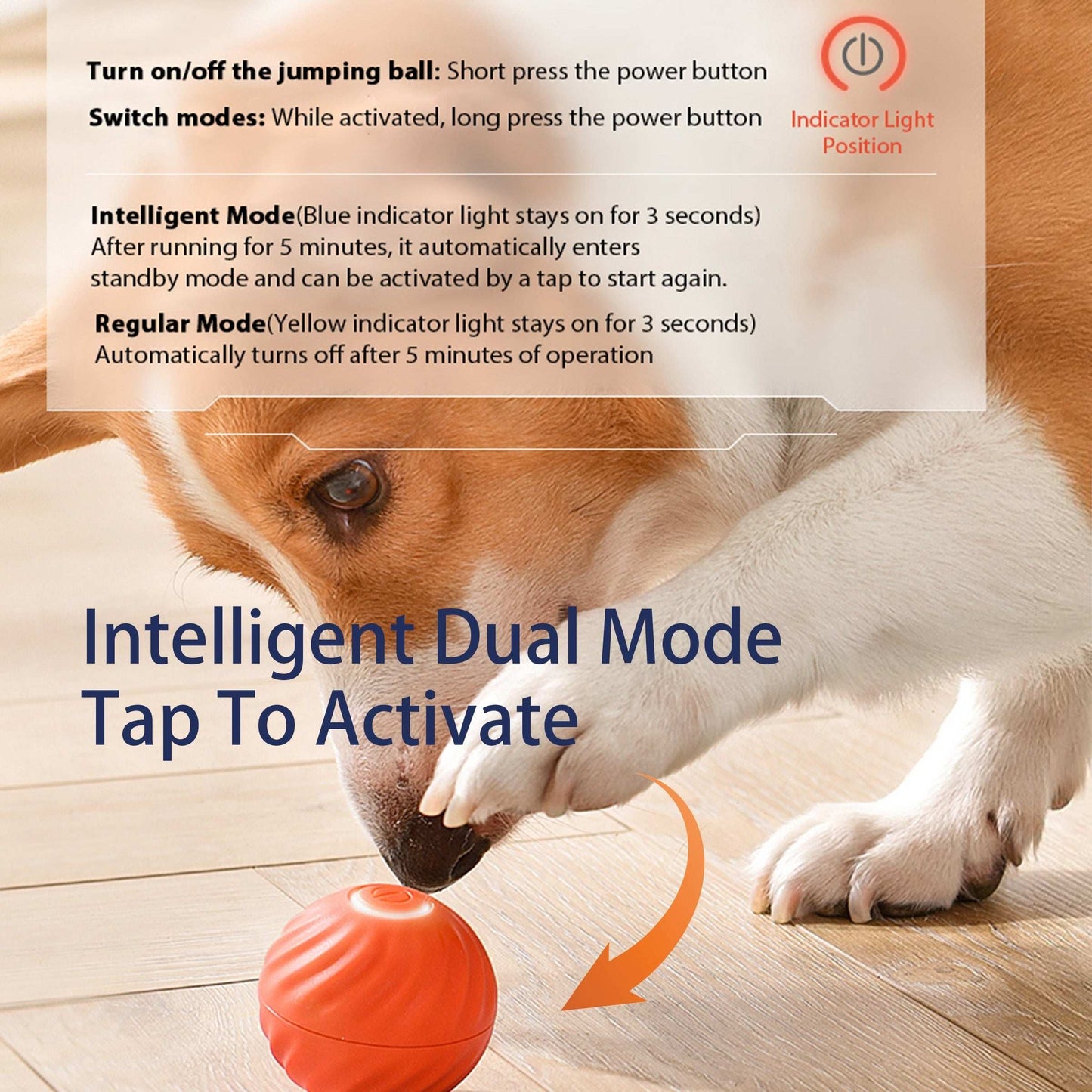 Smart Interactive Bouncing Ball Dog Toy - Purrfect Pet Haven