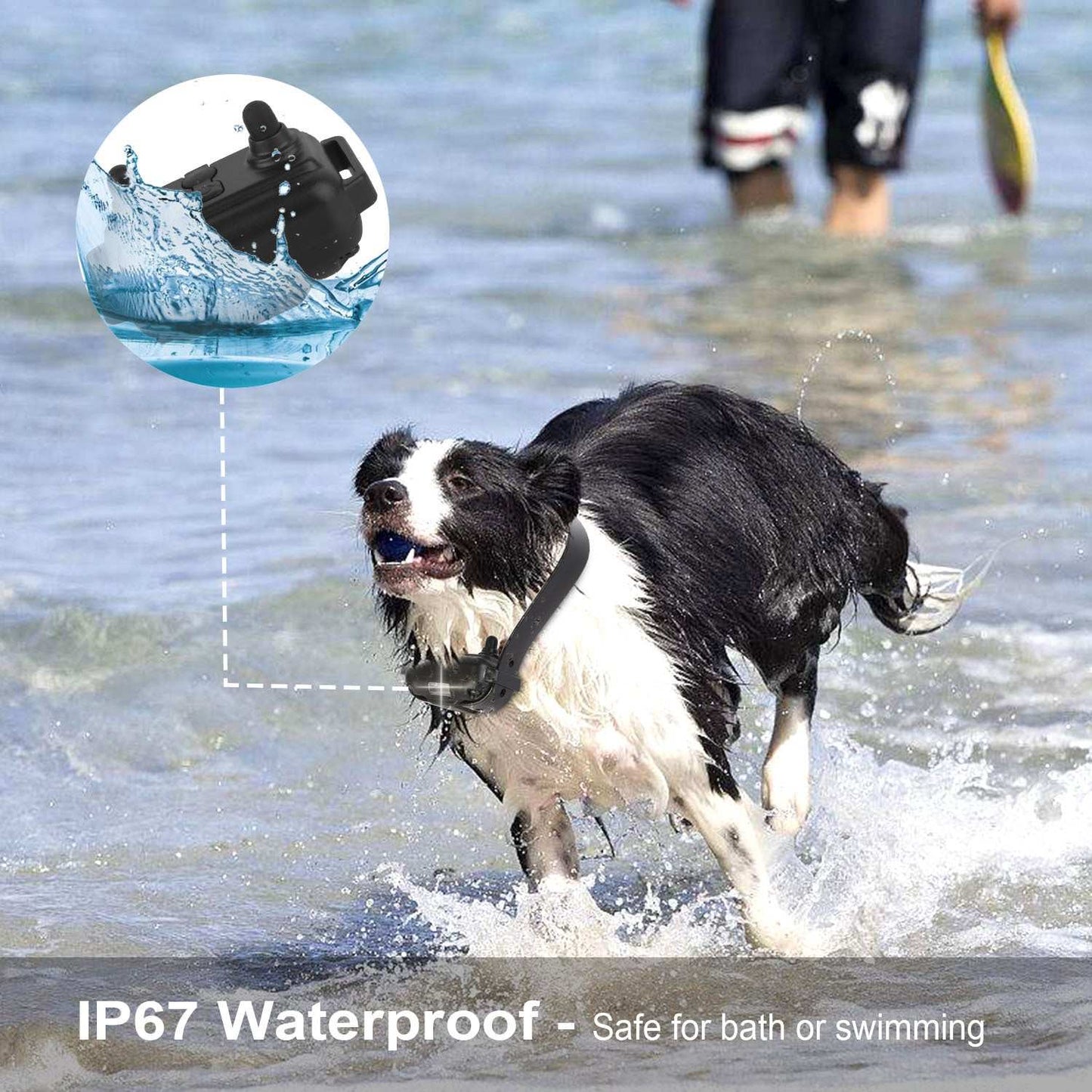 Dog Training Collar With Remote IP67 Waterproof Pet Trainer 300mAh Rechargeable 875 Yard Remote Control 4 Modes Adjustable Level - Purrfect Pet Haven