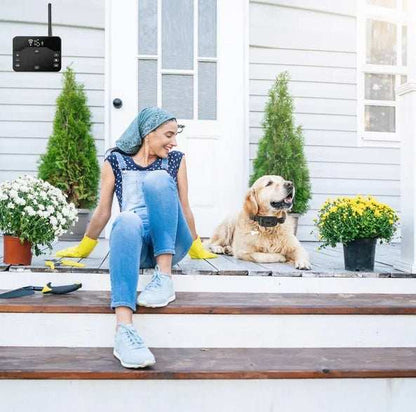 Wireless Dog Fence - Electric Boundary System With Waterproof Collar - Purrfect Pet Haven