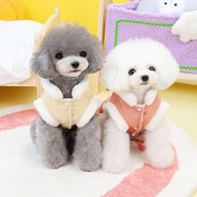 Butterfly Dreams Dress - Small Dog Cotton-Padded Outfit - Purrfect Pet Haven