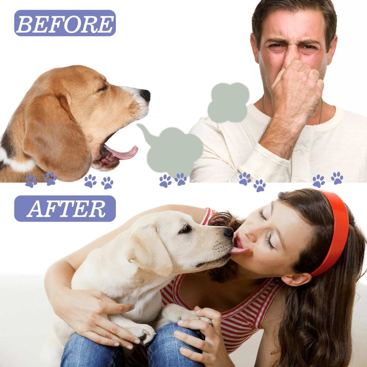 Teeth Stain Removal, Breath, Pet Oral Care Spray - Purrfect Pet Haven
