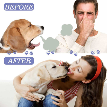 Teeth Stain Removal, Breath, Pet Oral Care Spray - Purrfect Pet Haven