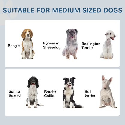 Mealtime Command Center - Dog Feeding Station - Purrfect Pet Haven