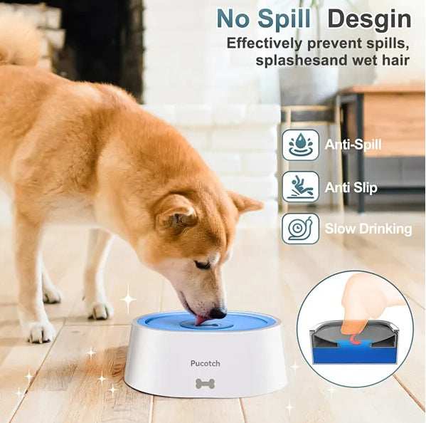 No Spill Dog Water Bowl - 2L Large - Purrfect Pet Haven