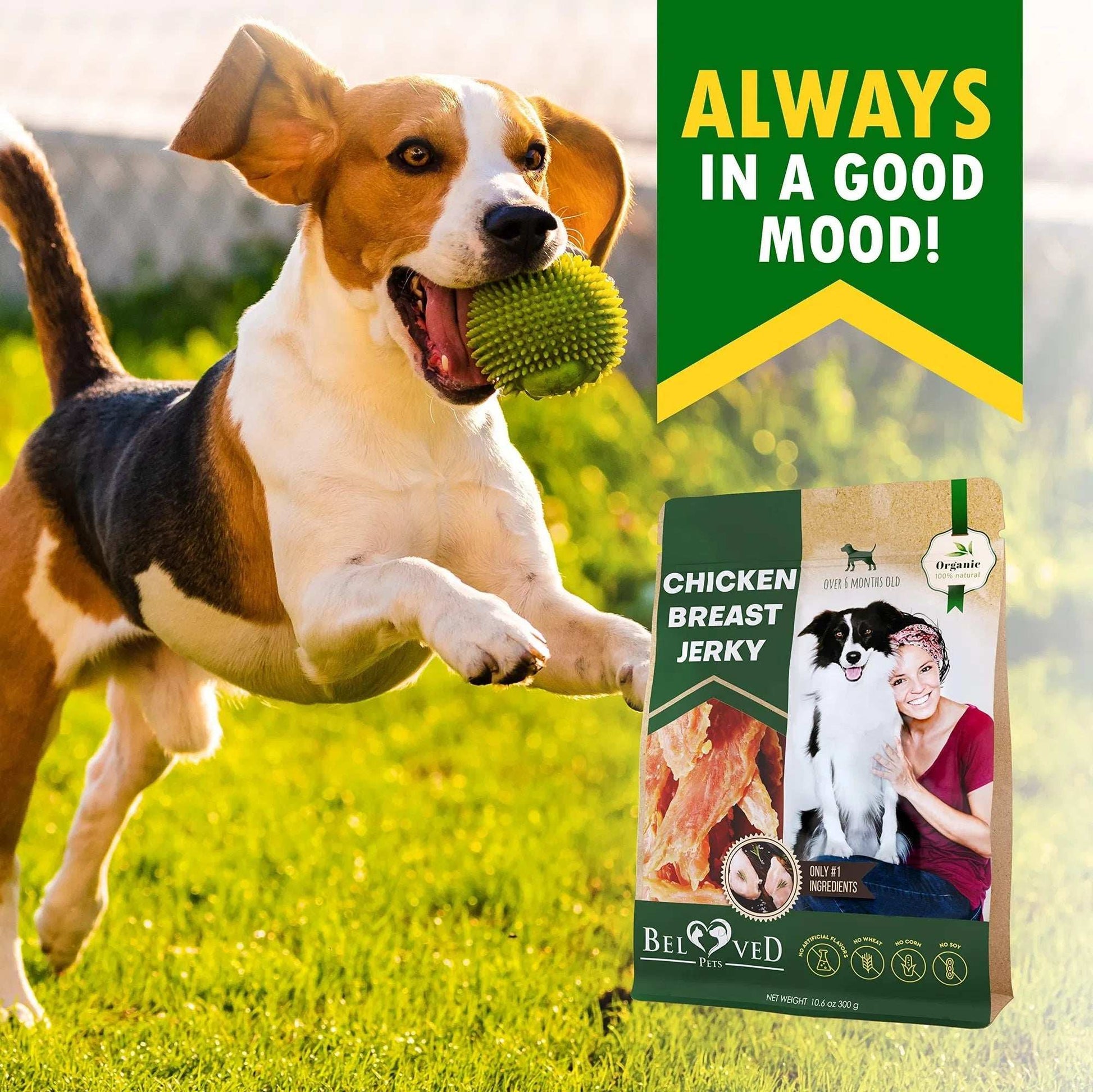 Chicken Jerky Dog Treats All Natural And Organic Healthy Snacks For Large & Small Dogs Grain Free And High Protein Human Grade Pet Chews 300 Gram - Purrfect Pet Haven