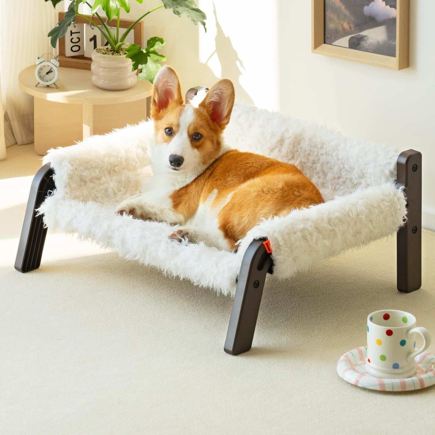 Raised Cat Bed - Elevated Plush 44lb Support - Purrfect Pet Haven
