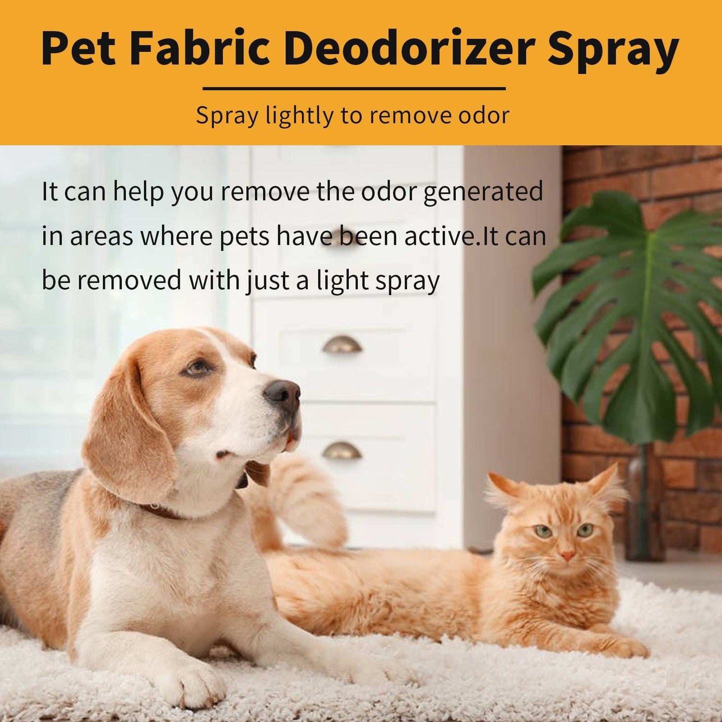 Clean Pet Odor, Indoor Air, Long-lasting Fragrance, Deodorizer - Purrfect Pet Haven