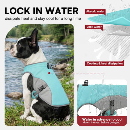 Dog Cooling Vest with D-Ring – For Active Pup Adventures