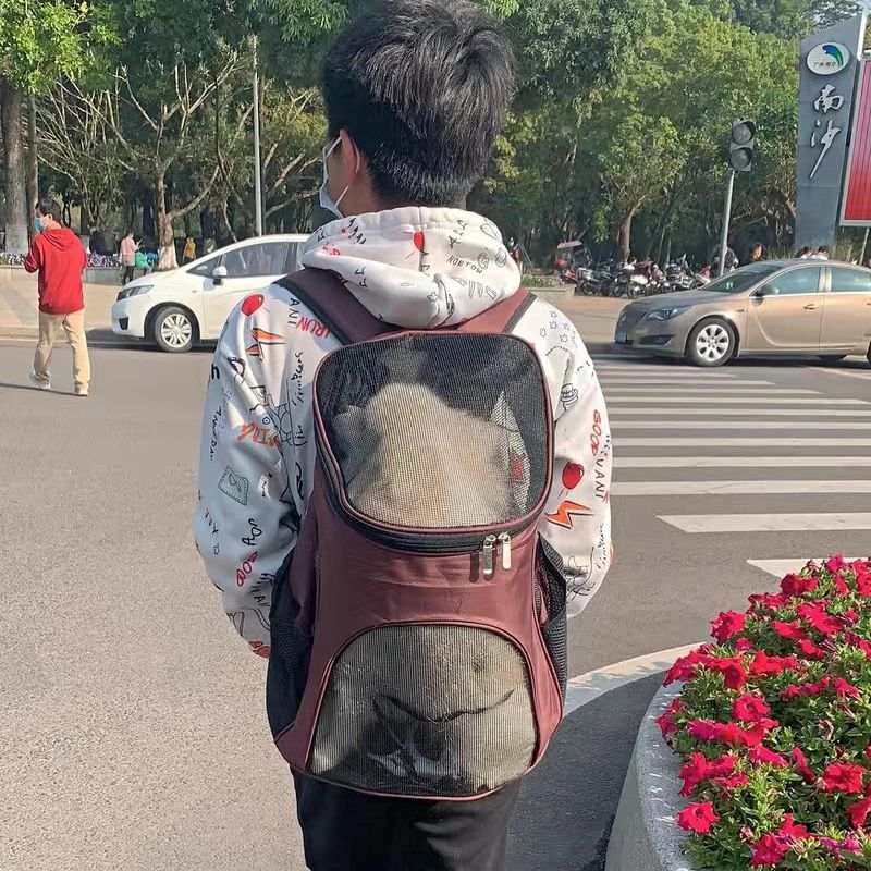 Portable Breathable Puppy Dog Carrier Backpack Pet Bag - Purrfect Pet Haven