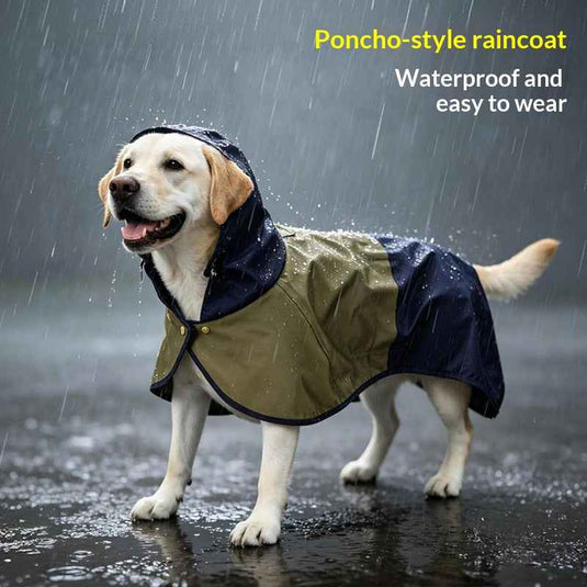 Dog Raincoat With Hood - Cape Style And Snap Closure