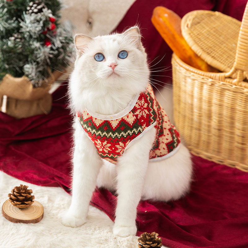 Bear Hugs Sweater - Small Dog Winter Warm Coat - Purrfect Pet Haven