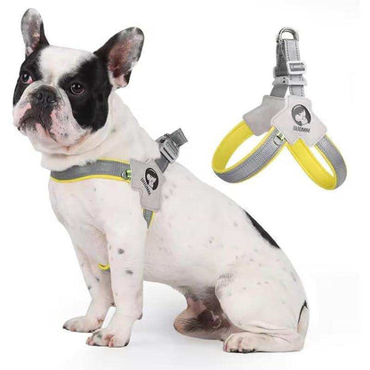 Reflective Dog and Cat Harness with Adjustable Straps - Purrfect Pet Haven