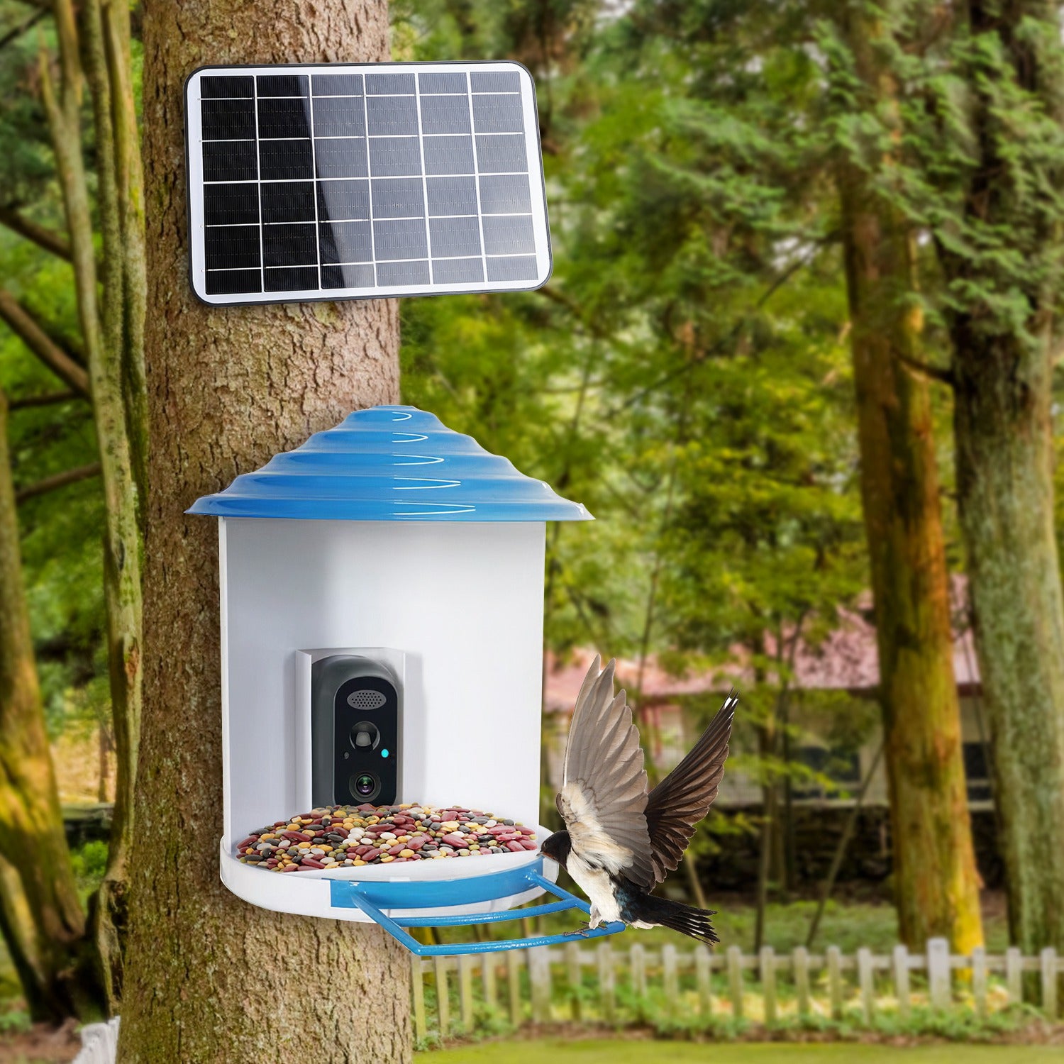 BirdCam Pro Feeder - Smart Solar HD Camera with AI ID - Purrfect Pet Haven