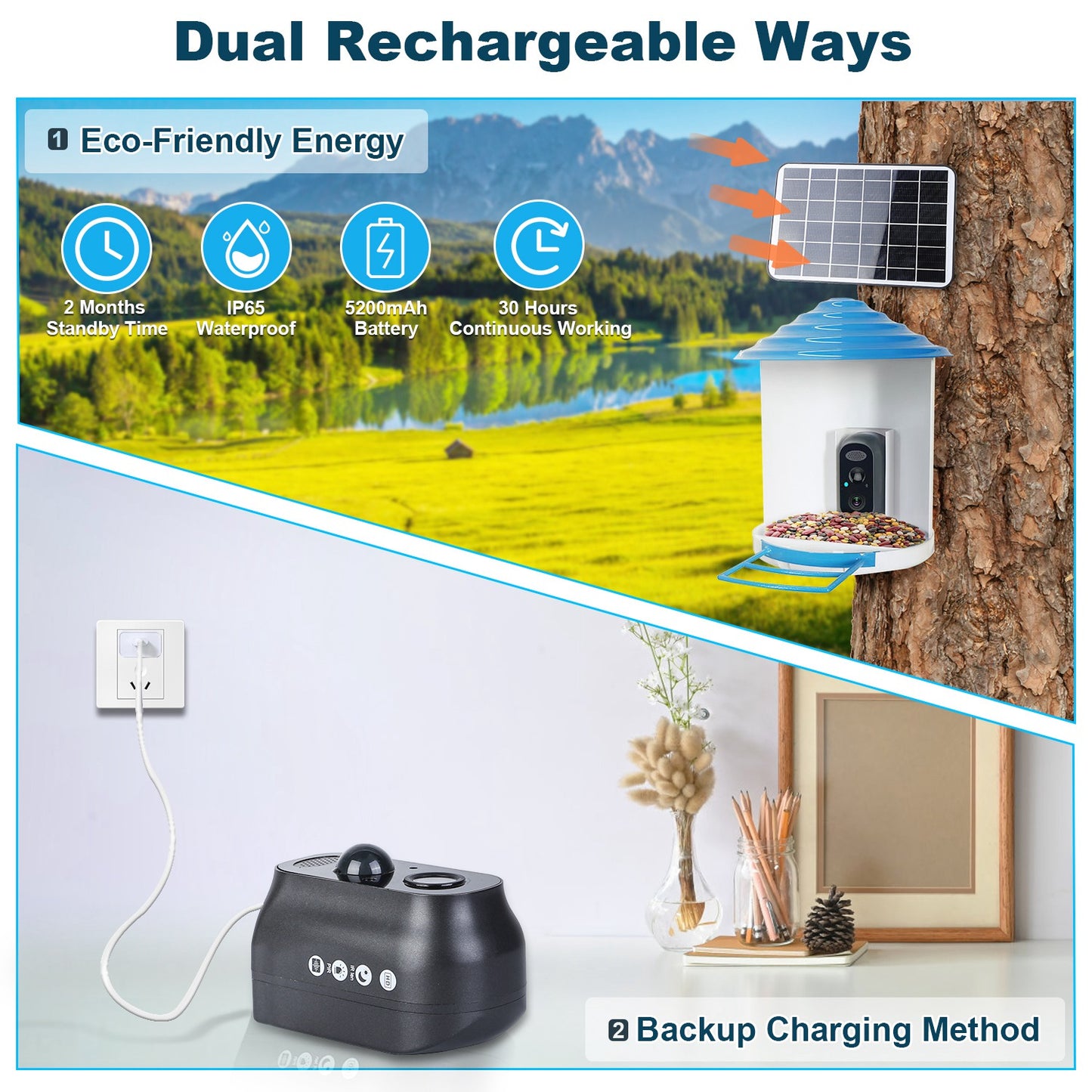 BirdCam Pro Feeder - Smart Solar HD Camera with AI ID - Purrfect Pet Haven