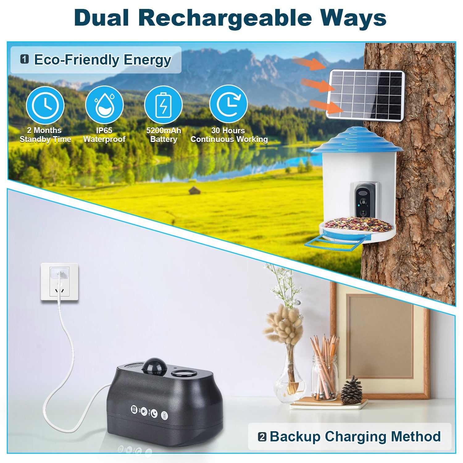 BirdCam Pro Feeder - Smart Solar HD Camera with AI ID - Purrfect Pet Haven