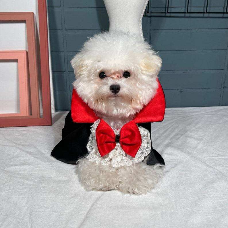 Vampire Cloak Pet Costume - Dramatic Halloween Windbreaker Cape - Purrfect Pet Haven