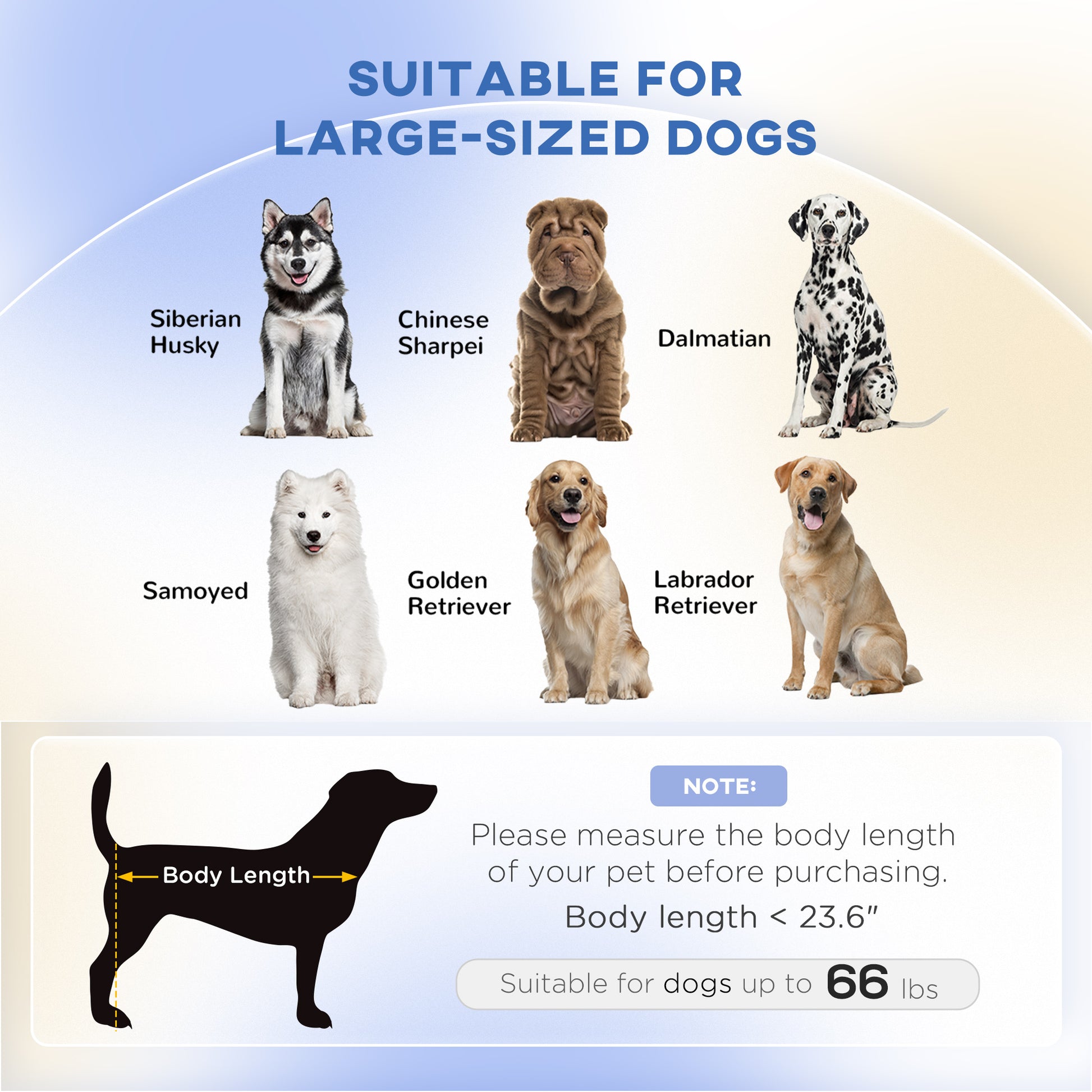 Dog Couch for Large Dogs - Washable & Elevated Sofa Bed - Purrfect Pet Haven
