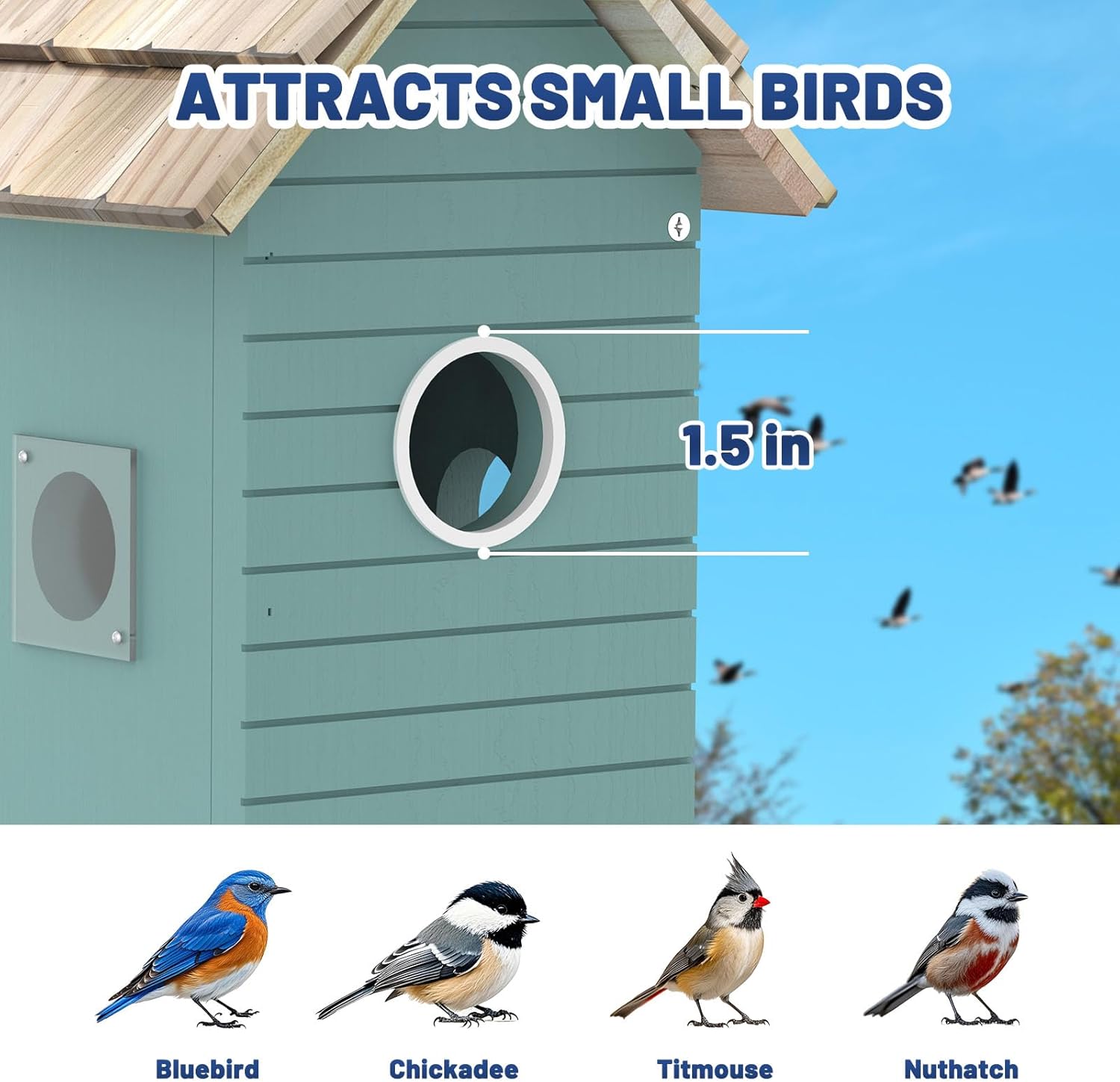 BirdNest AI House - Smart Camera 3MP 10K Species ID - Purrfect Pet Haven