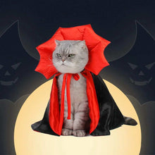 Cat Vampire Costume for Halloween Fun - Purrfect Pet Haven