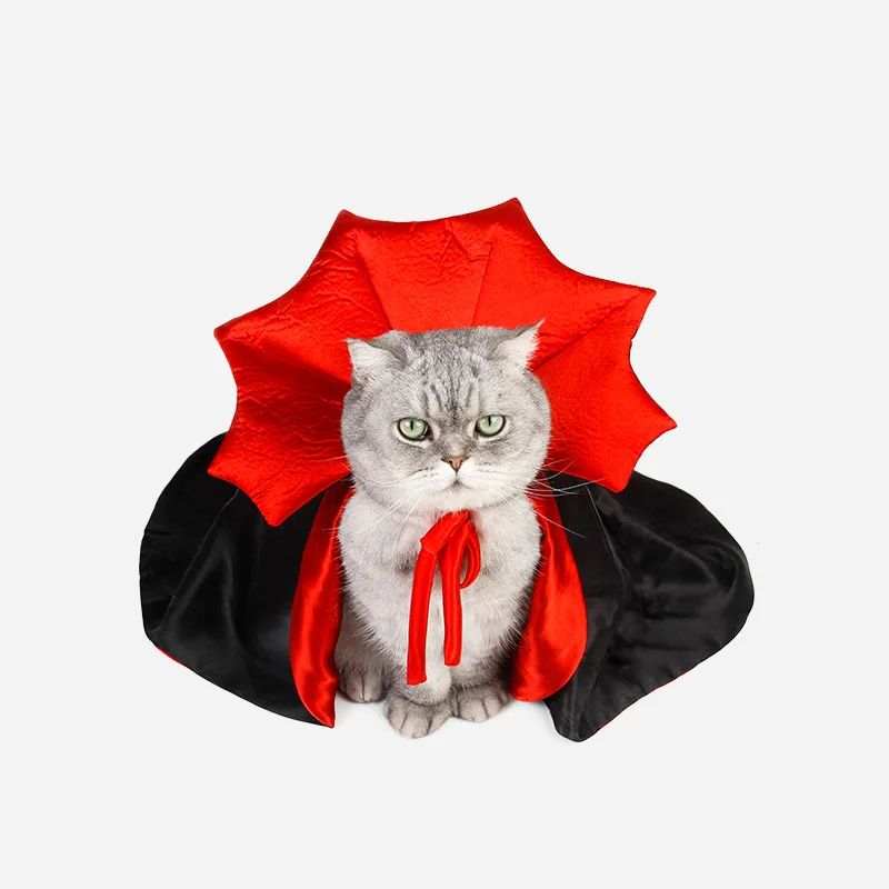 Cat Vampire Costume for Halloween Fun - Purrfect Pet Haven