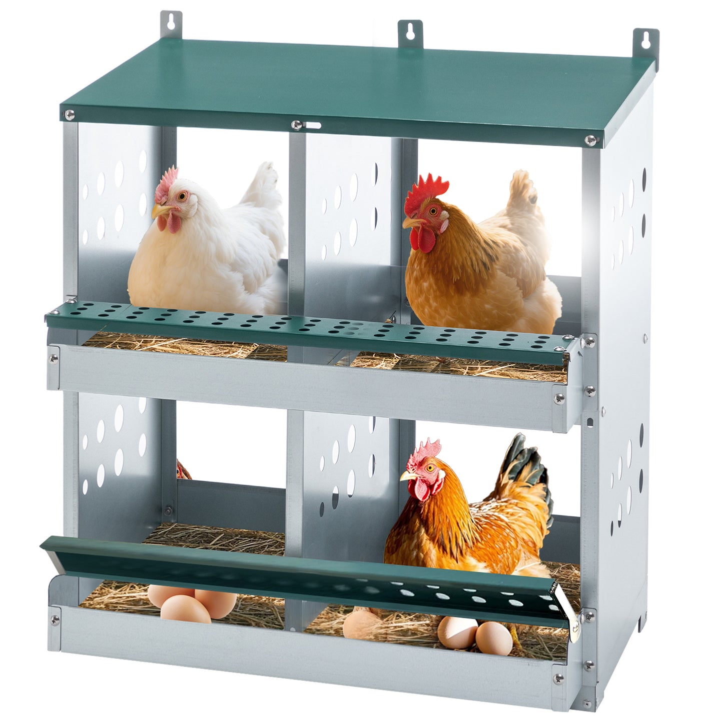 4-Compartment Metal Chicken Nesting Box - Wall Mount - Purrfect Pet Haven