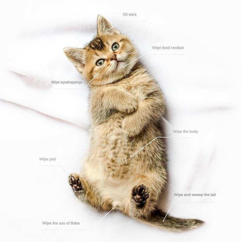 Pet Cleaning Deodorizing Bathing Coconut Oil Grooming Wipes - Purrfect Pet Haven