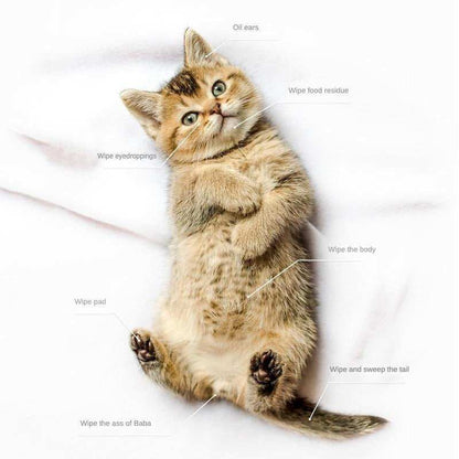 Pet Cleaning Deodorizing Bathing Coconut Oil Grooming Wipes - Purrfect Pet Haven