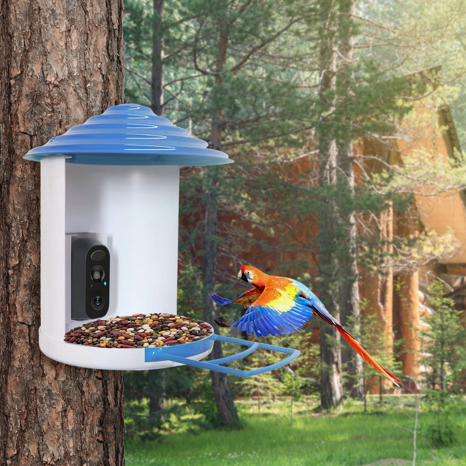 BirdCam Pro Feeder - Smart Solar HD Camera with AI ID - Purrfect Pet Haven