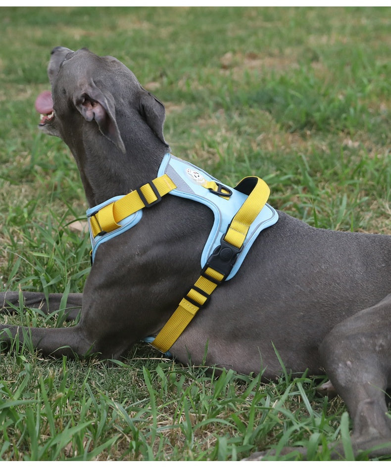 Dog Harness - Large Chest Style with Leash - Purrfect Pet Haven