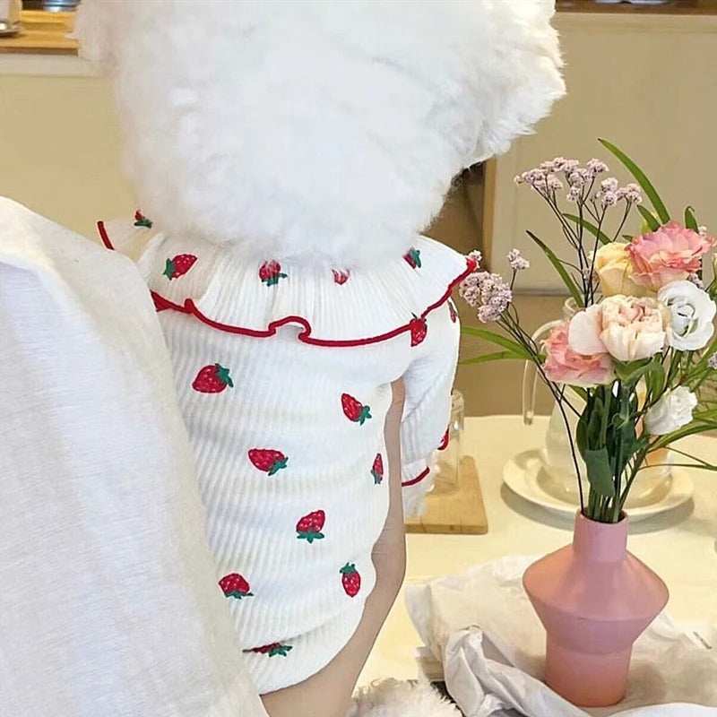 Summer Thin Lace Ruffle Strawberry Pet Cat Dog Clothes - Purrfect Pet Haven