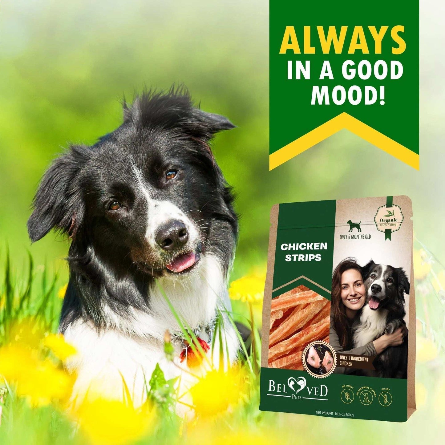 Human Grade Grain Free Meat Chicken Strips Dog Treats 10.6 Oz - Purrfect Pet Haven