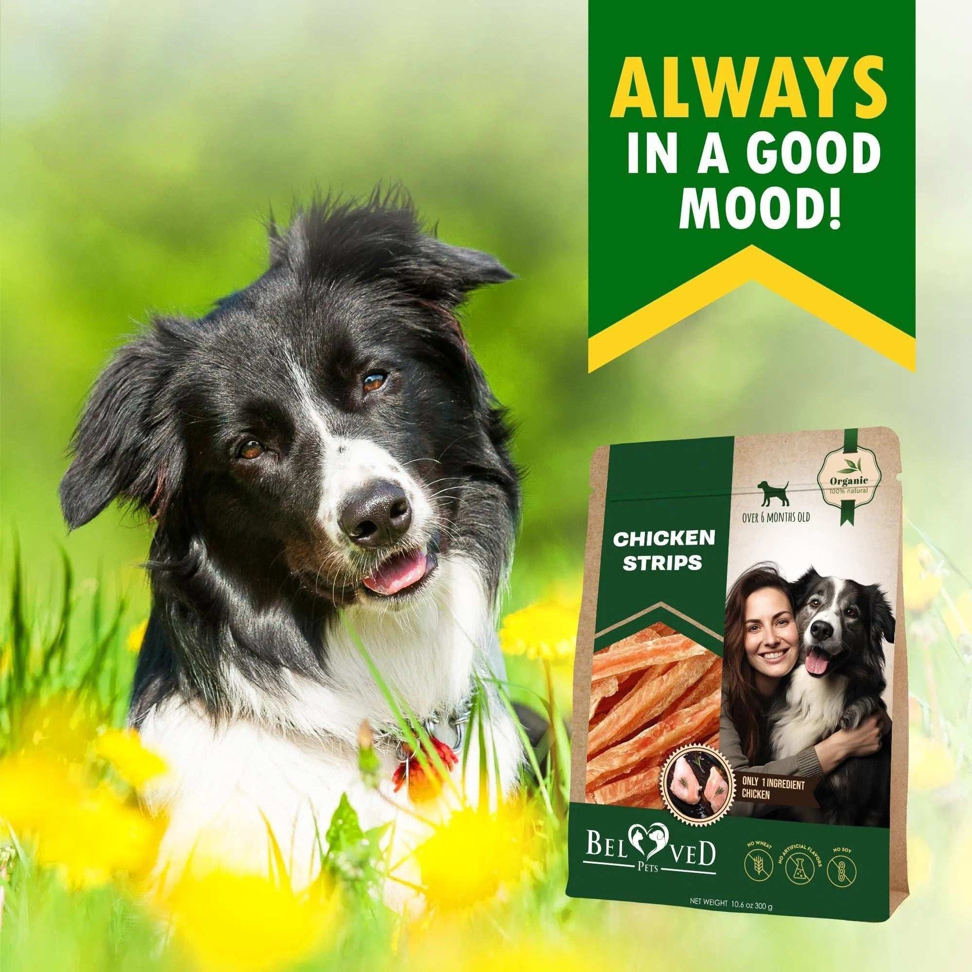 Human Grade Grain Free Meat Chicken Strips Dog Treats 10.6 Oz - Purrfect Pet Haven