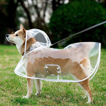 White Edge Transparent Pet Raincoat with Full Hood - Purrfect Pet Haven