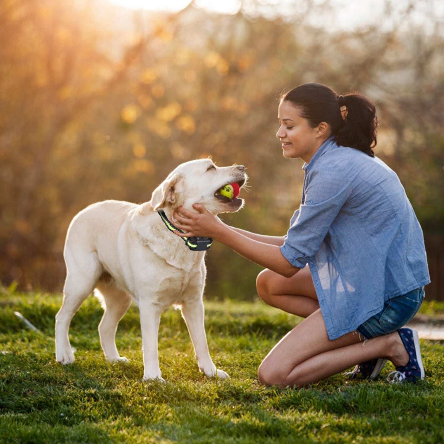 Smart Dog Bark Collar - Rechargeable & Adjustable - Purrfect Pet Haven