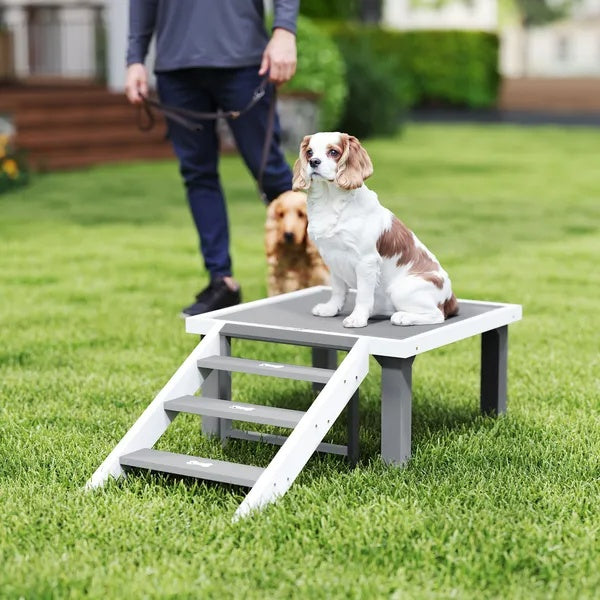 Agility Platform Pro - Wooden Dog Training Board - Purrfect Pet Haven