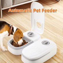 Automatic Pet Feeder Smart Food Dispenser For Cats Dogs Timer Stainless Steel Bowl Auto Dog Cat Pet Feeding Pets Supplies - Purrfect Pet Haven