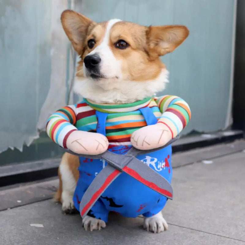 Adjustable Pet Halloween Costume - Funny Character Suit with Straps - Purrfect Pet Haven