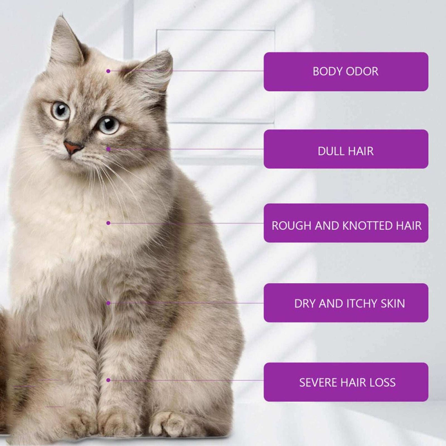 Pet Shampoo & Conditioner with Pure Lavender Essential Oils - Purrfect Pet Haven