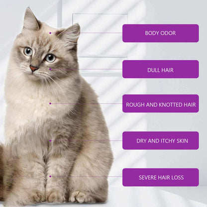 Pet Shampoo & Conditioner with Pure Lavender Essential Oils - Purrfect Pet Haven