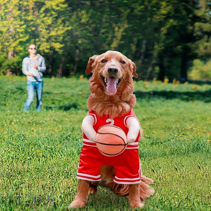 Dog Halloween Costume Basketball Player Jersey - Purrfect Pet Haven
