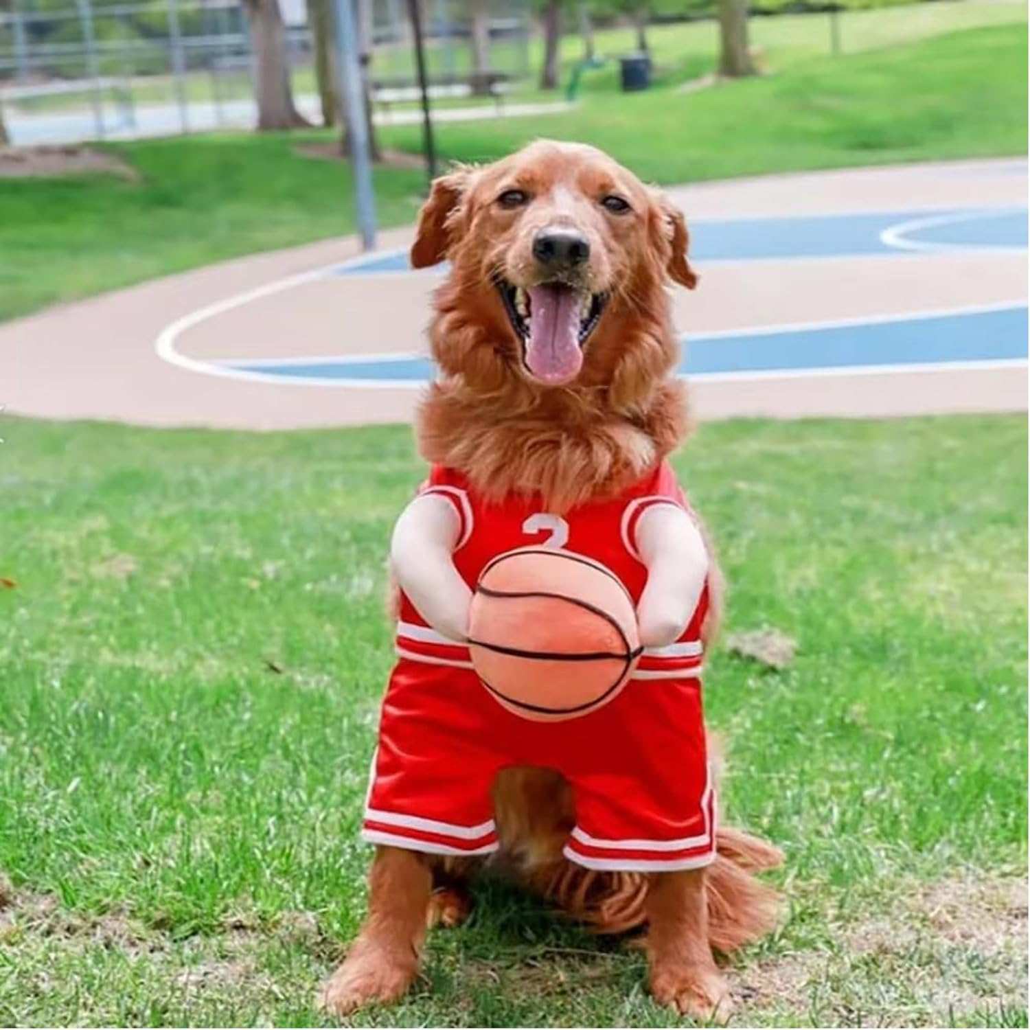 Dog Halloween Costume Basketball Player Jersey - Purrfect Pet Haven
