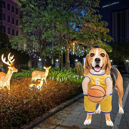 Dog Halloween Costume Basketball Player Jersey - Purrfect Pet Haven