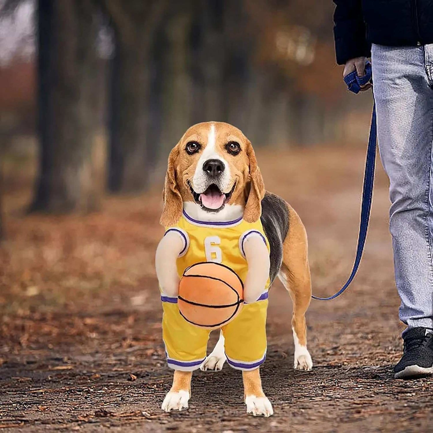 Dog Halloween Costume Basketball Player Jersey - Purrfect Pet Haven