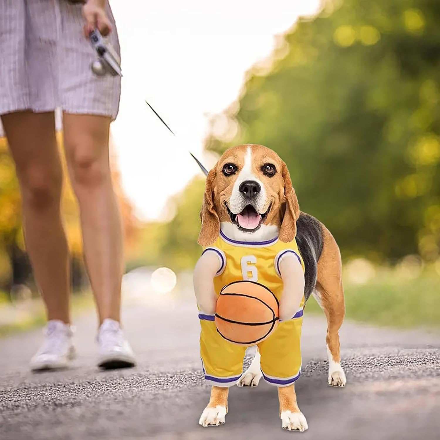 Dog Halloween Costume Basketball Player Jersey - Purrfect Pet Haven