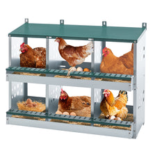 6-Compartment Chicken Nesting Box - Roll-Away Egg Collection - Purrfect Pet Haven