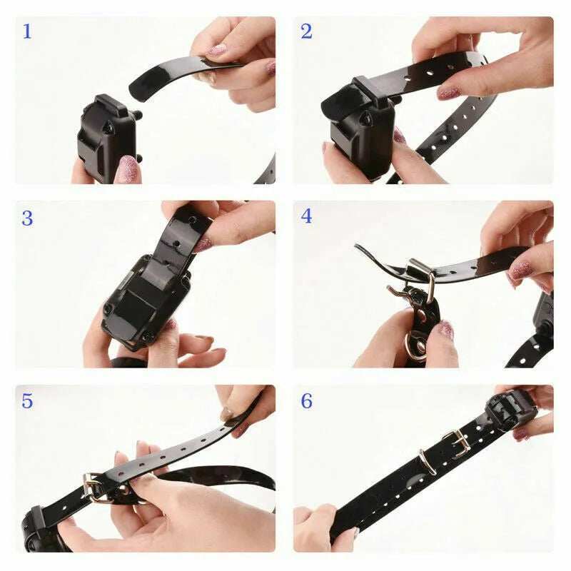 Dog Training Collar - 3000 FT Remote Waterproof Rechargeable - Purrfect Pet Haven