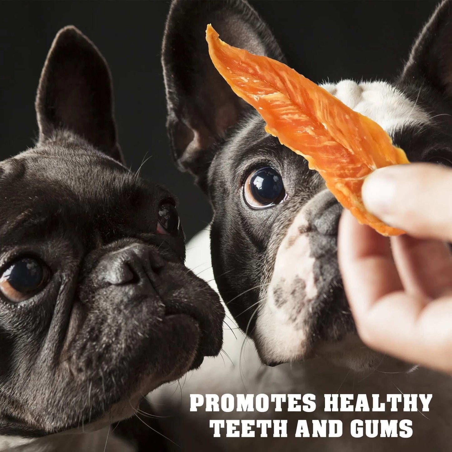Chicken Jerky Dog Treats 1.5 Lb Human Grade Pet Snacks Grain Free Organic Meat All Natural High Protein Dried Strips Best Chews For Training Small & Large Dogs - Purrfect Pet Haven