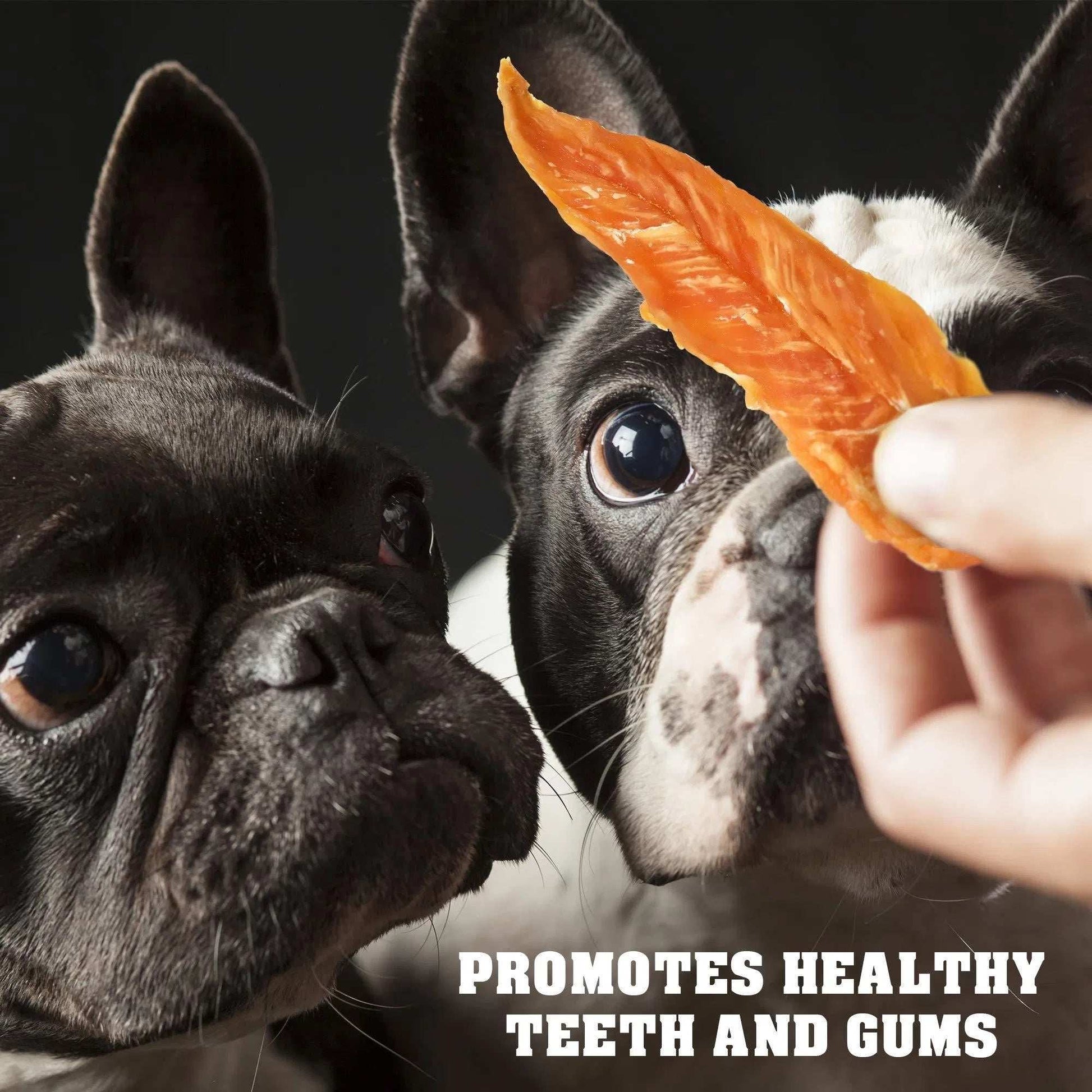 Chicken Jerky Dog Treats 1.5 Lb Human Grade Pet Snacks Grain Free Organic Meat All Natural High Protein Dried Strips Best Chews For Training Small & Large Dogs - Purrfect Pet Haven
